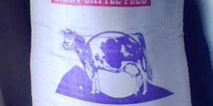 Dairy Cattle Feed