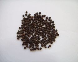 Black Pepper