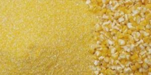 Maize Flour