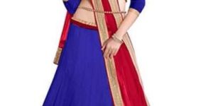 Indian Traditional Lehenga Choli Bollywood Designer Choli Suit