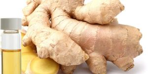 Ginger Root Oil