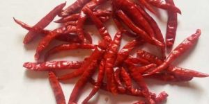 Red Chilli Roshini