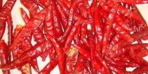 Red Chilli Tejaswi