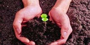 Biofertilizer