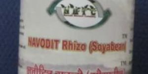 Navodit Rhizo