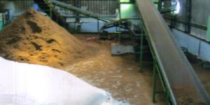 Belt Conveyor System