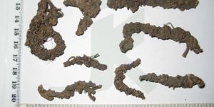 VALERIANA WALLICHII (Valerian Root)