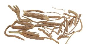 Withania Somnifera (Ashwagandha)