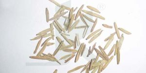 WRIGHTIA TINCTORIA (Wrightia Tinctoria)