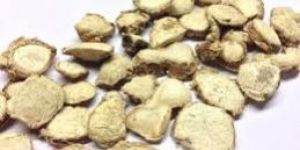 ZEDOARY ROOT (Kapur Kachri)