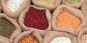 Indian Pulses