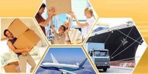 Transit Insurance Services