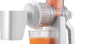 Fruit Juicer