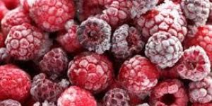 Frozen Fruits