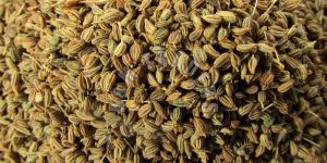 Carom Seeds