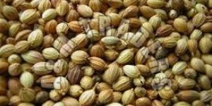 Coriander Seeds