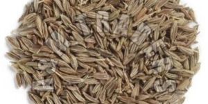 Cumin Seeds