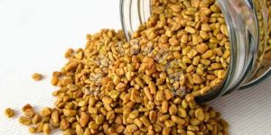 Fenugreek Seeds