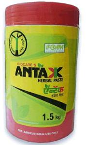 Antok Herbal Paste