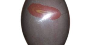 Tilak Narmada Shivling