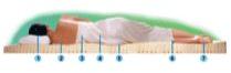 7 Zone Orthopedic Mattress