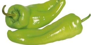 Fresh Green Chilli