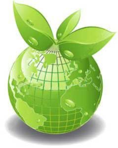 Kosher Certifications