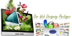 Website Design Services