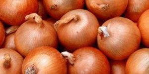 Fresh Sambar Onion