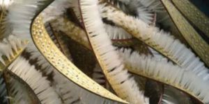 Nylon Brisels Patta Type Brushes