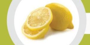 Fresh Lemon