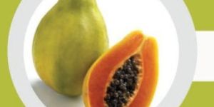Fresh Papaya