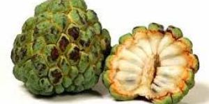 Fresh Custard Apple