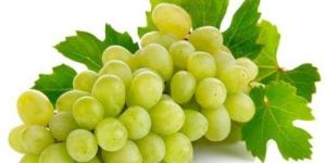 Fresh Grapes