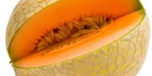 Fresh Muskmelon