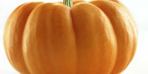 Fresh Pumpkin