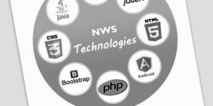 Web Application Development Service