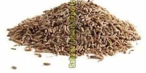 Cumin Seeds
