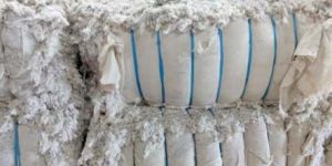 Cotton Lickerin Waste