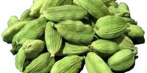 Green Cardamom
