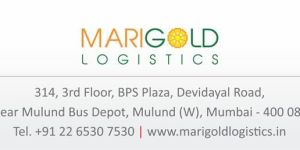 International Freight Forwarder