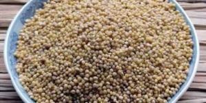 Dehusked Foxtail Millet Rice