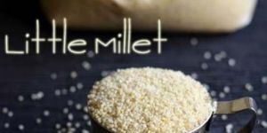 Fully Polished Little Millet Rice