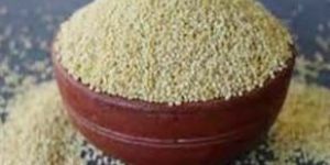 Semi Polished Kodo Millet Rice