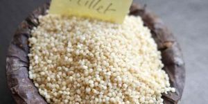 Semi Polished Little Millet Rice