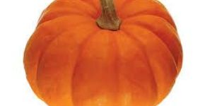 Fresh Pumpkin