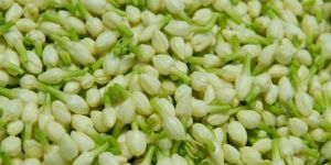 Fresh Gundu Malli Flowers