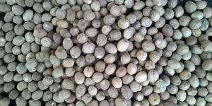 Nutmeg