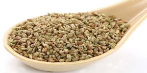 Carom Seeds