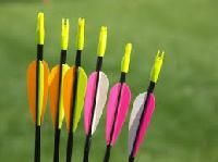 Archery Equipment
